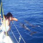 Fauna marina